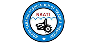 NKATI for Premium Web Development Services for Scalable Enterprises