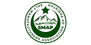 SMAP for Premium Web Development Services for Scalable Enterprises