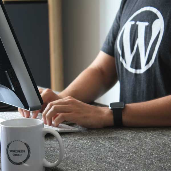 WordPress Development
