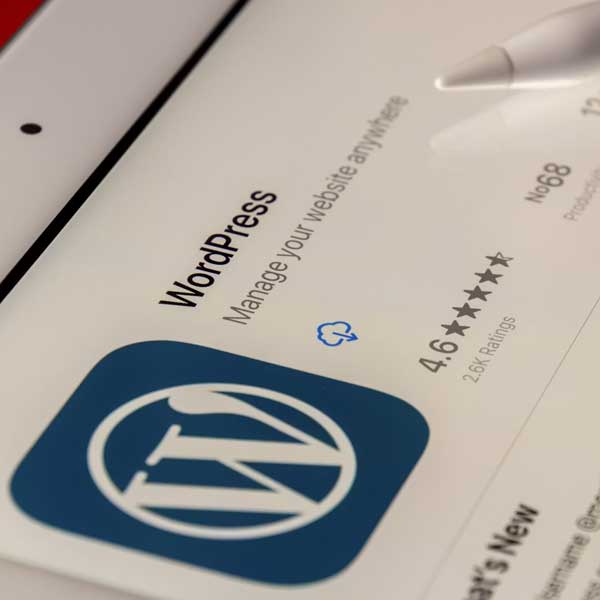 WordPress Development Services