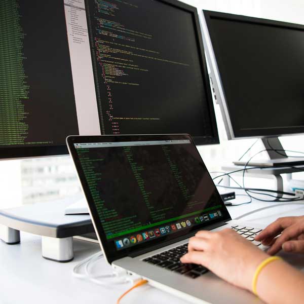 WordPress Development