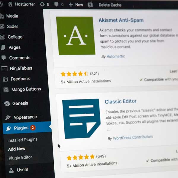 WordPress CMS planning